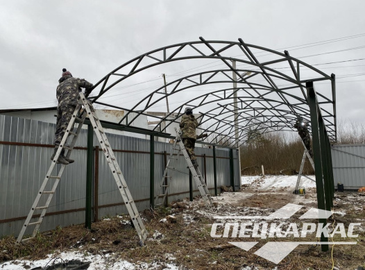 Навес для парковки двух автомобилей друг за другом №62 - фото 1572